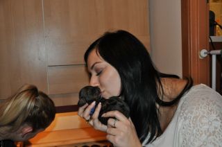 Jamniki d�ugow�ose 